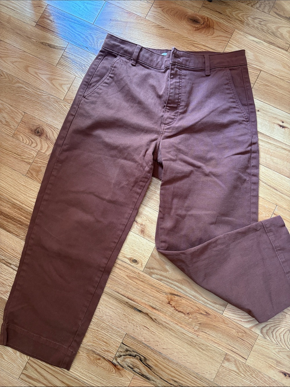 Everlane Rust-Toned High-Rise Pants straight leg pant 12
